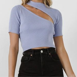 Endless Rose cut out crop top